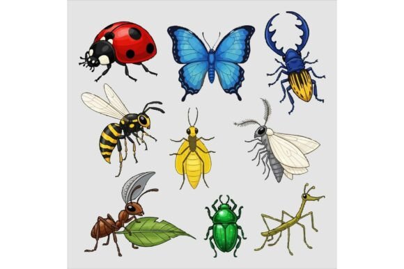 Review: Colorful Insects Bundle Illustrations